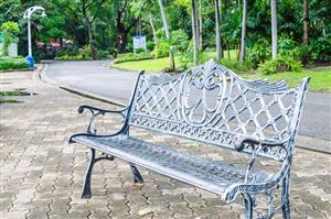 Bench in a sunny park